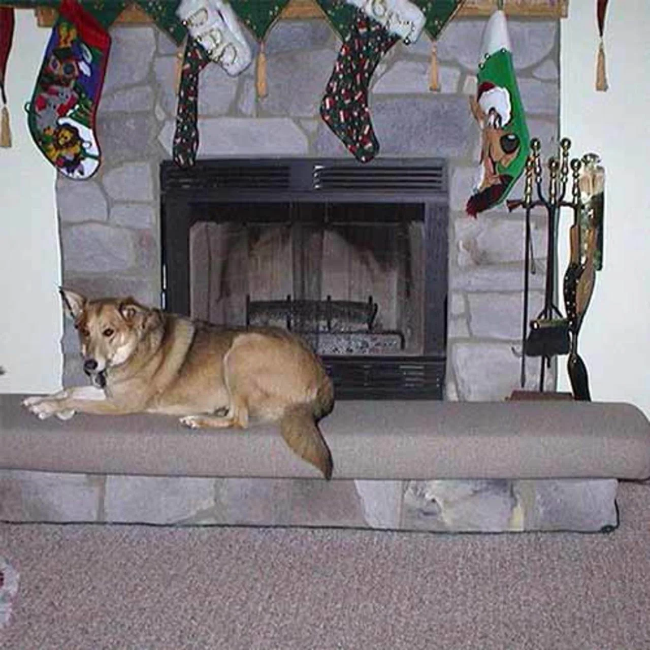 JackMat Hearth Custom Safety Cushion - Image 5